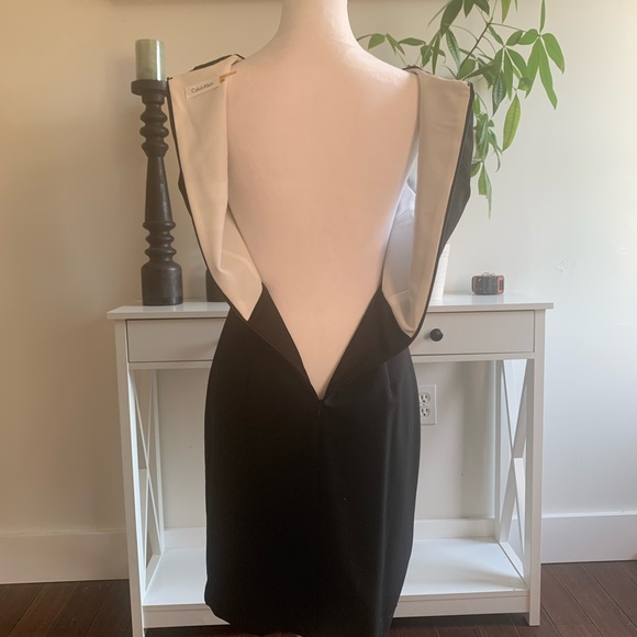 Calvin Klein dress, size 8P - Picture 3 of 9